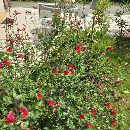 Petit Coin De Charme *