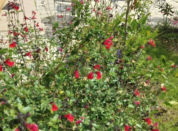 Petit Coin De Charme *